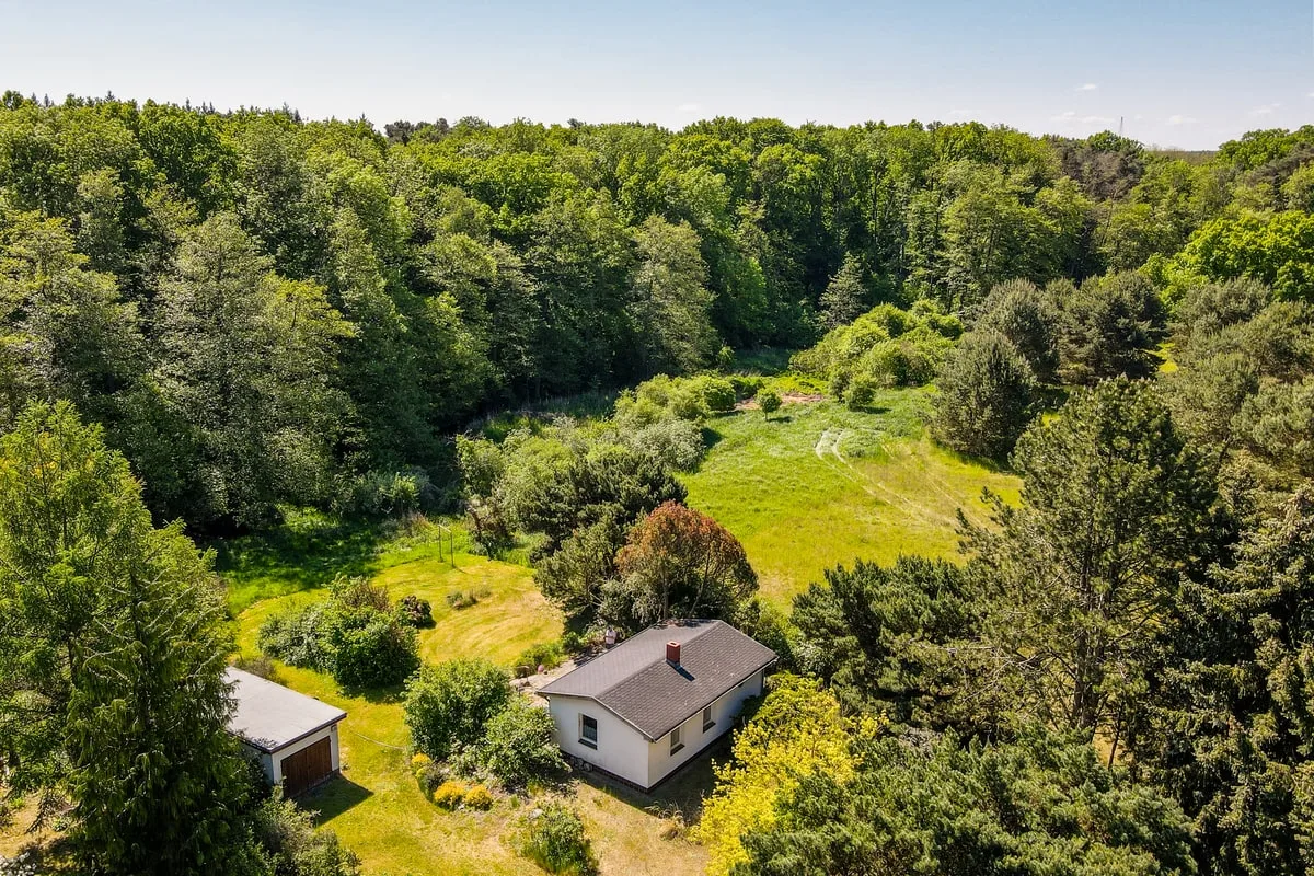 Blick Richtung Wald